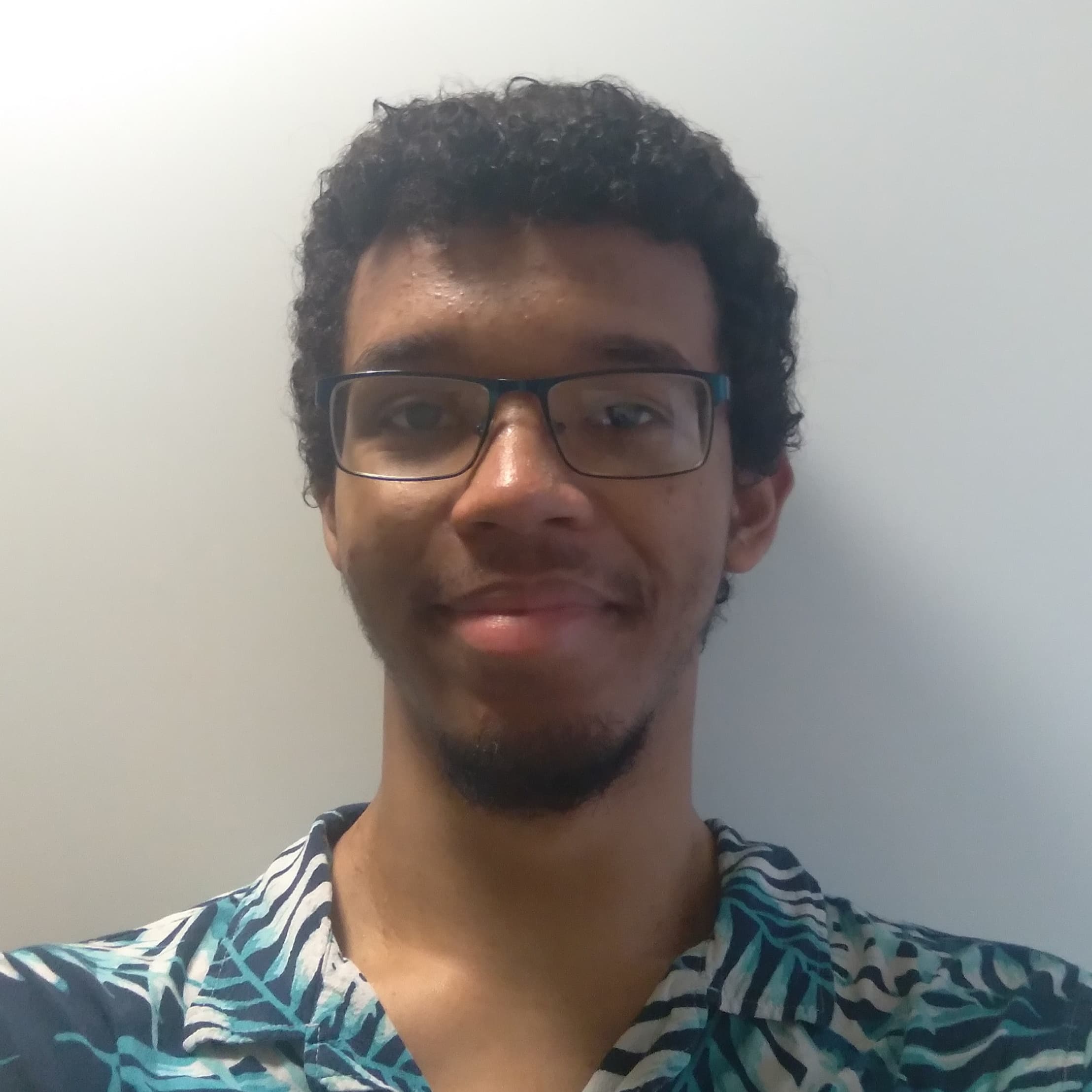 Djavan ANSELIN
