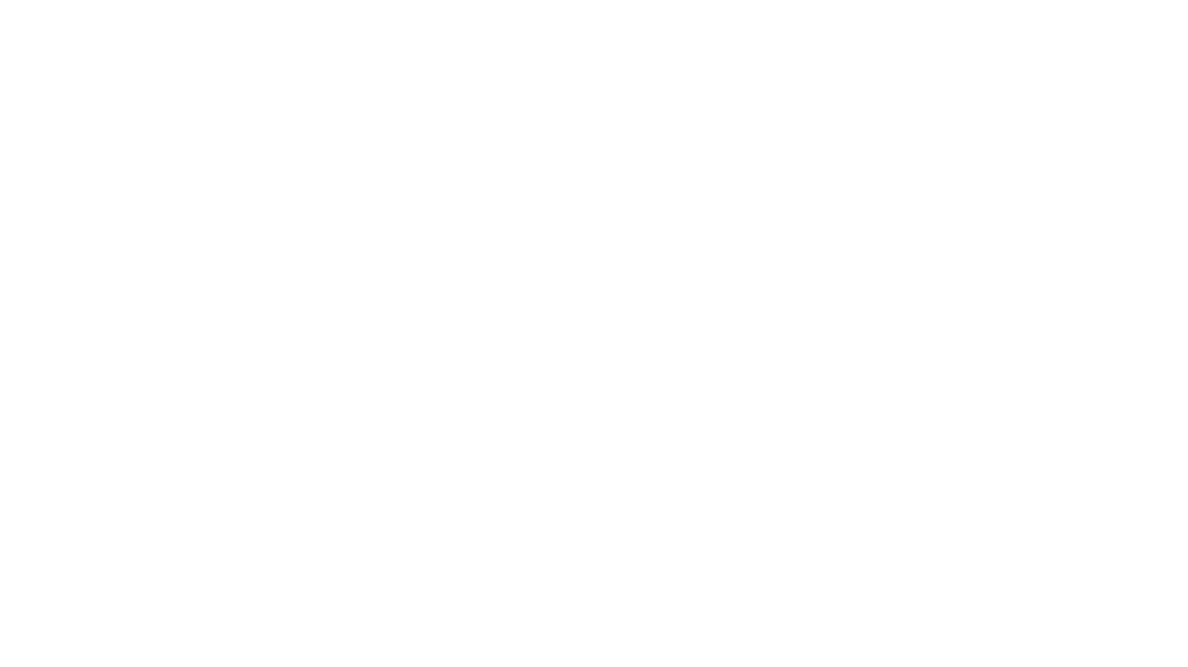 Viva La Bachata Texas Logo